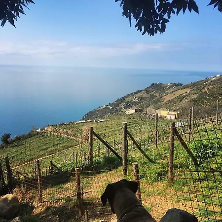 La Casa Di Mino