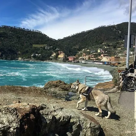La Casa Di Mino *